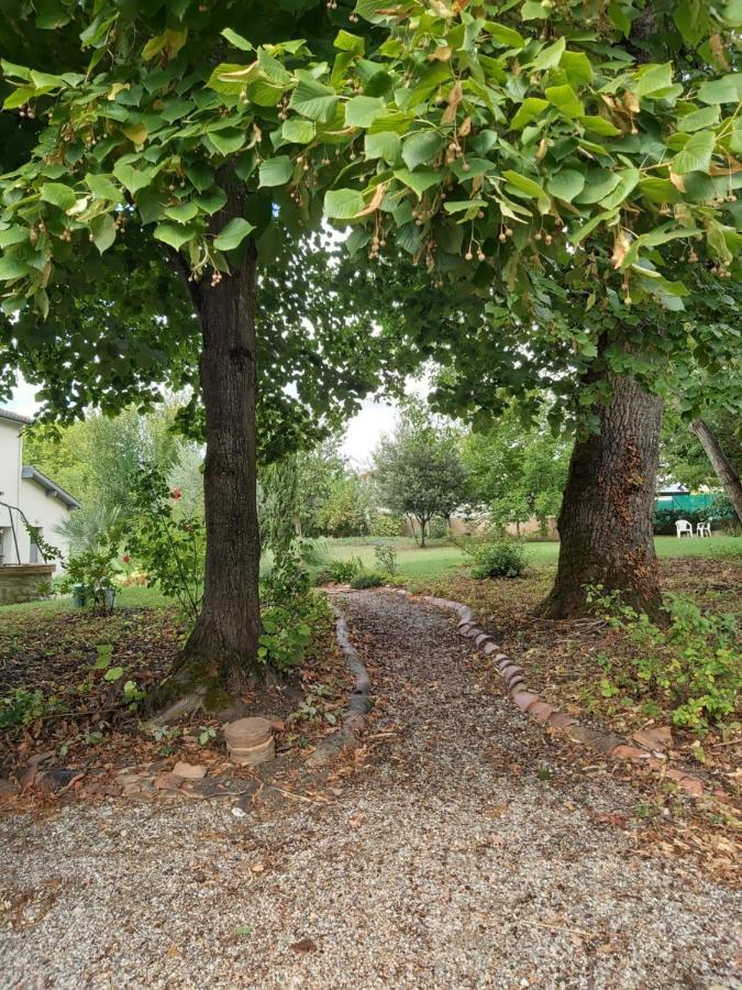 O Nature Cheris Mes Voeux Avant Qu'Ils S'Enfuient Francescas Dış mekan fotoğraf