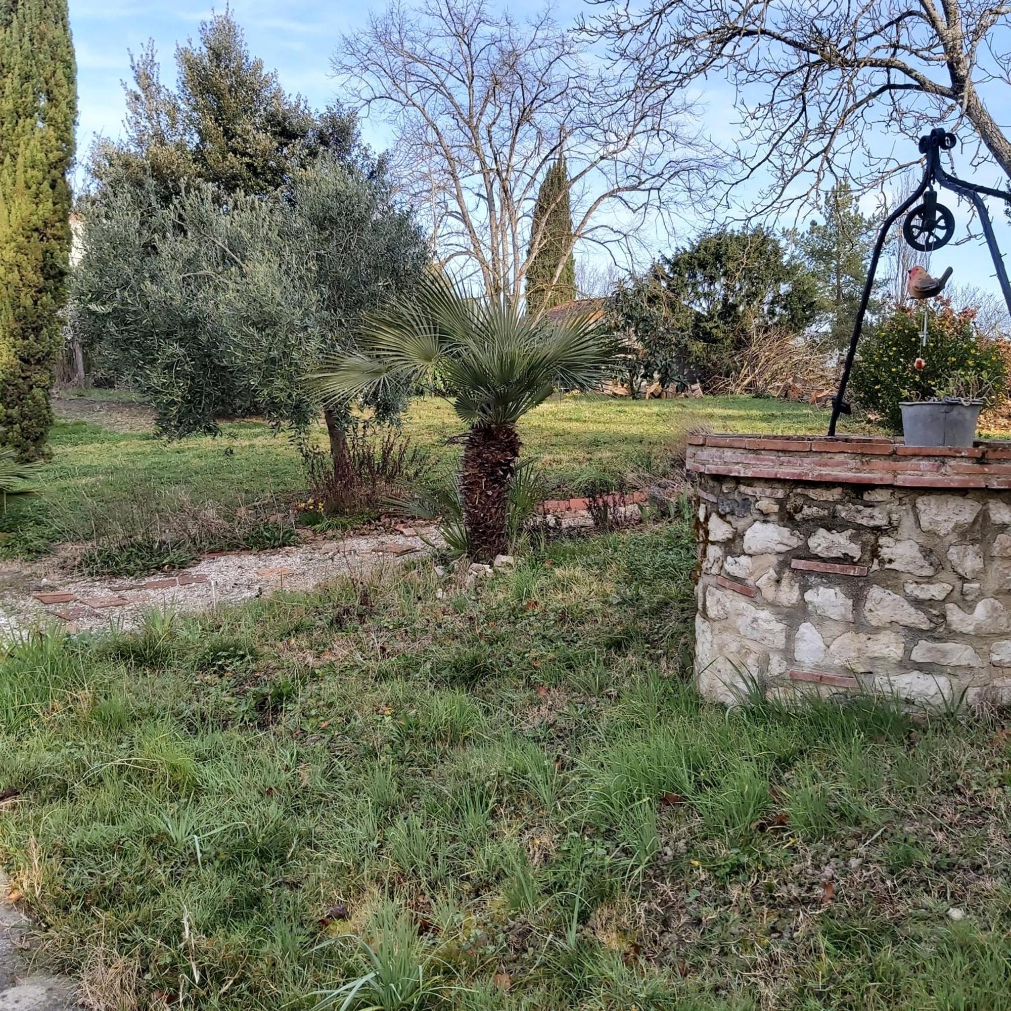 O Nature Cheris Mes Voeux Avant Qu'Ils S'Enfuient Francescas Dış mekan fotoğraf
